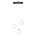 Lustra ar auklu ROYAL 3xE14/10W/230V d. 30 cm melna