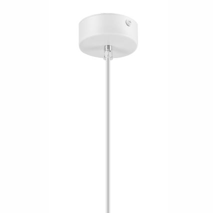 Lustra ar auklu SIMON 1xE27/60W/230V dižskābardis