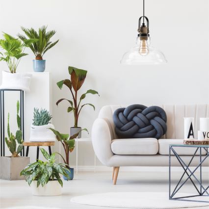 Lustra ar auklu SINGLE 1xE27/60W/230V