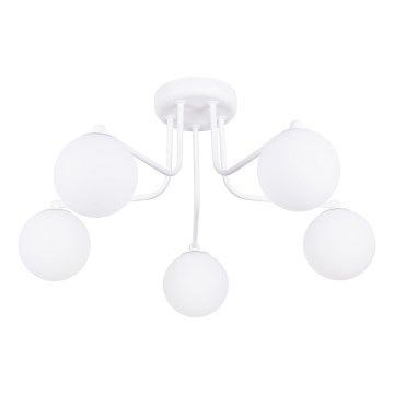 Lustra ar stieni ASTRAL 5xG9/8W/230V balta