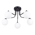 Lustra ar stieni ASTRAL 5xG9/8W/230V melna