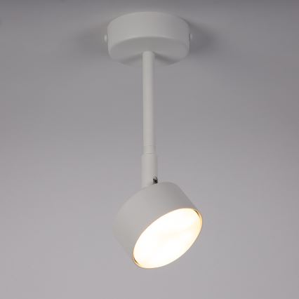 Lustra ar stieni NEMO 1xGX53/12W/230V 24 cm balta