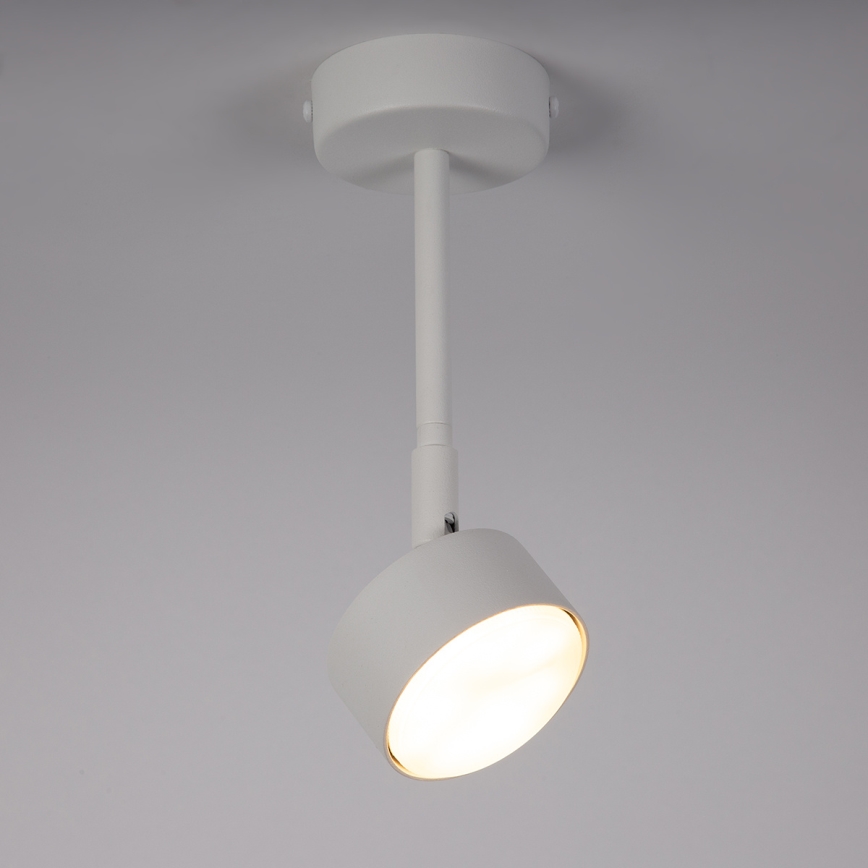 Lustra ar stieni NEMO 1xGX53/12W/230V 24 cm balta