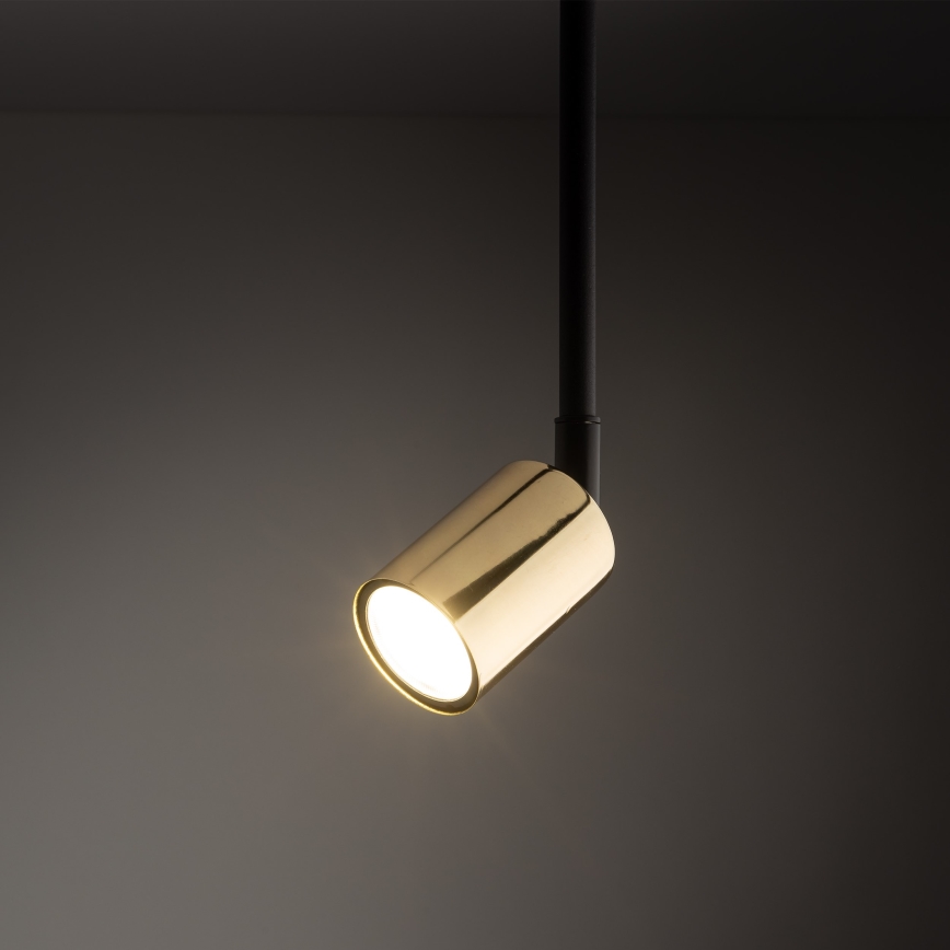 Lustra ar stieni 1 fāzes sliežu sistēmai TOP 1xGU10/10W/230V zelta/melna