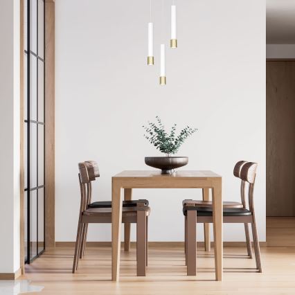Lustra uz auklas NEST 3xGU10/8W/230V balta/zelta apaļa
