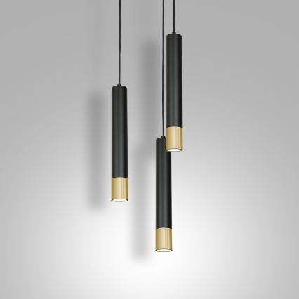 Lustra uz auklas NEST 3xGU10/8W/230V melna/zelta apaļa