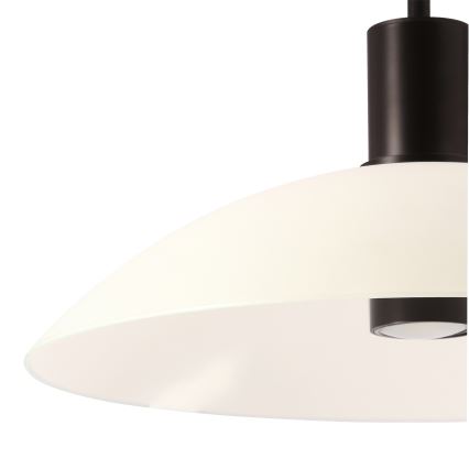 Lustra uz kabeļa TEDIN 1xGU10/15W/230V balta/melna