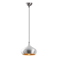 Lustra uz stieples DODO 1xE27/40W/230V matēts hroms
