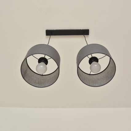 Lustra uz vada ALBA 2xE27/15W/230V pelēka