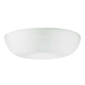 Luxera 68009 - Rezerves stikls ULTIMA E27
