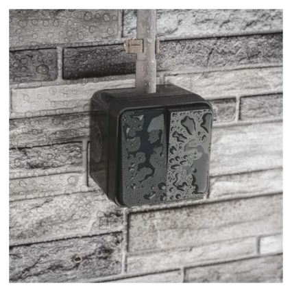 Mājas 2-pogu pārslēdzamais slēdzis nr. 6+6 IP55 antracīts