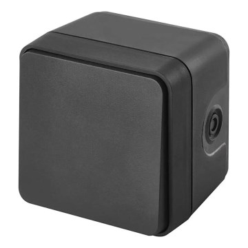 Mājas maiņstrāvas slēdzis 250V/10A IP55