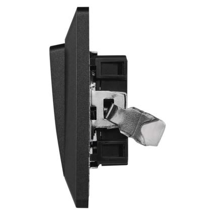 Mājas slēdža pārslēdzis 250V/10A antracīta