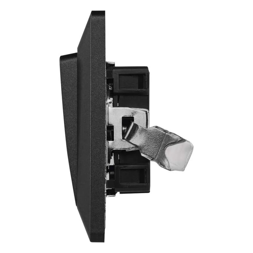 Mājas slēdža pārslēdzis 250V/10A antracīta