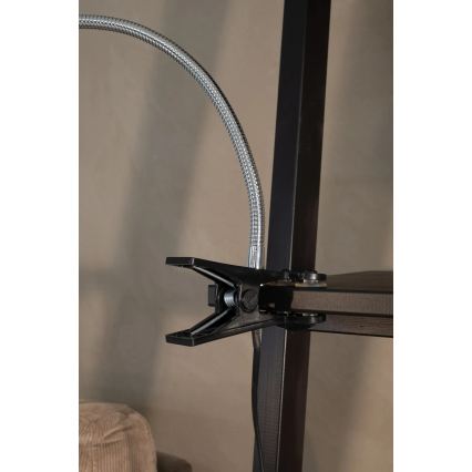 Markslöjd 106092  - LED Galda lampa ar skavu TULIP LED/3W/230V melna