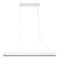 Markslöjd 108892 - PLANO LED pakaramā lampa uz kabeļa, ar regulējamu spilgtumu, 38W/230V, balta