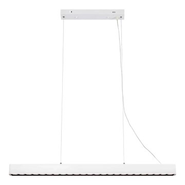 Markslöjd 108892 - PLANO LED pakaramā lampa uz kabeļa, ar regulējamu spilgtumu, 38W/230V, balta
