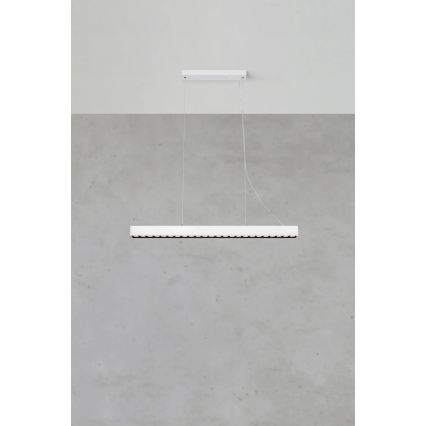 Markslöjd 108892 - PLANO LED pakaramā lampa uz kabeļa, ar regulējamu spilgtumu, 38W/230V, balta