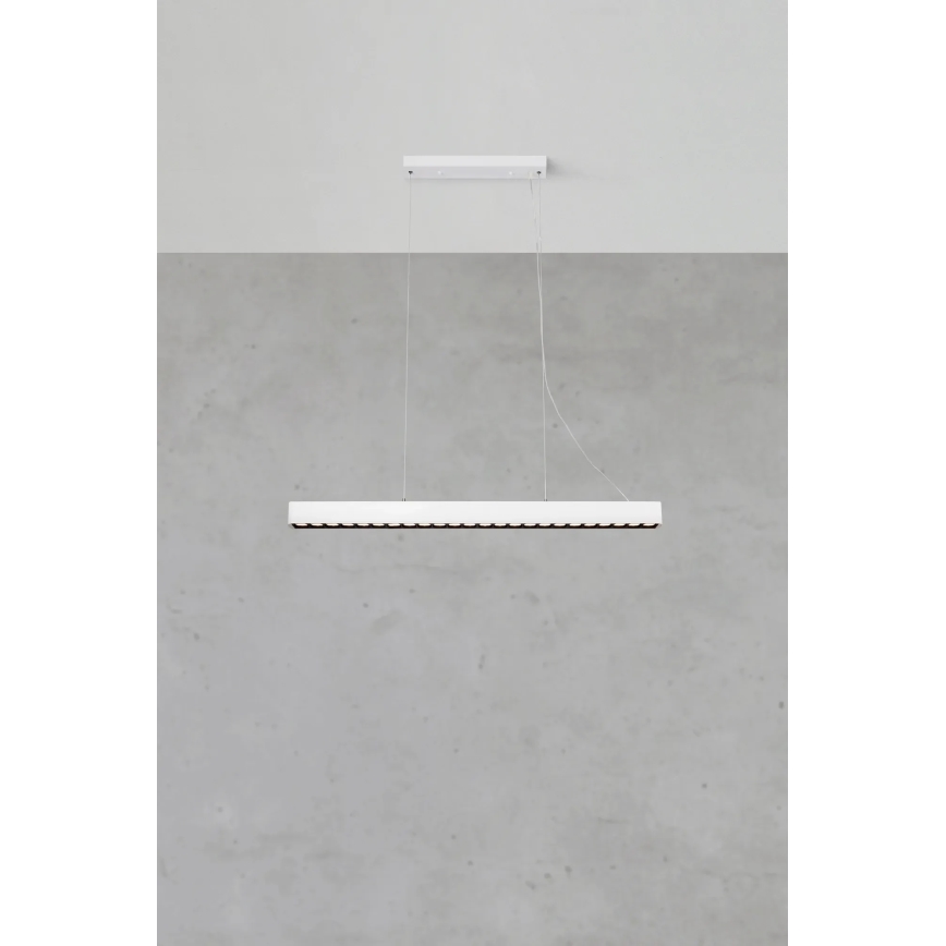 Markslöjd 108892 - PLANO LED pakaramā lampa uz kabeļa, ar regulējamu spilgtumu, 38W/230V, balta