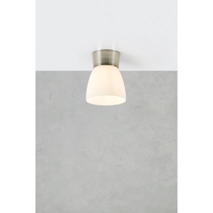 Markslöjd 109026 - Vannas istabas griestu gaismeklis NERJA 1xE27/40W/230V IP44 matēts hroms