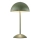 Markslöjd 109143 - Galda lampa ZIN 2xG9/20W/230V zaļa