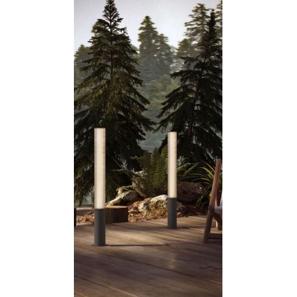 MAXLIGHT F0065 - LED āra lampa GARDENIA LED/25W/230V 105 cm CRI 93 IP65 antracīts