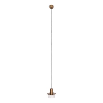 MAXLIGHT P0530 - LED Lustra ar auklu SIGNATURE LED/8W/230V d. 15 cm misiņš/caurspīdīga