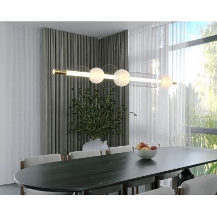 MAXLIGHT P0593 - LED Lustra ar auklu BORA LED/29W/230V balta/melna