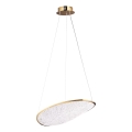 MAXLIGHT P0637D - LED lustra uz troses EMPIRE, LED/17W/230V, zelta