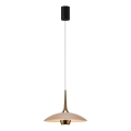 MAXLIGHT P0674 - LED lustra uz vada MANUKA LED/12W/230V pr. 28 cm zelta/bēša