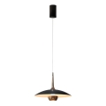 MAXLIGHT P0676 - LED lustra uz kabeļa MANUKA LED/12W/230V Ø 28 cm zelta/melna