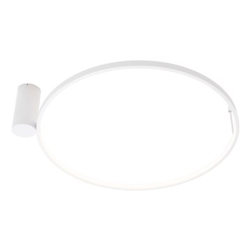 MAXLIGHT W0434 - LED griestu lampa vannas istabai VISUAL LED/22W/230V Ø 60 cm IP44, balta