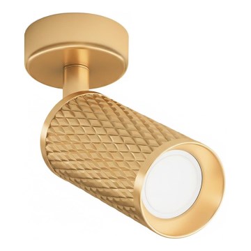Maytoni C034CL-01G - virziena gaismeklis FOCUS 1xGU10/10W/230V, zelta