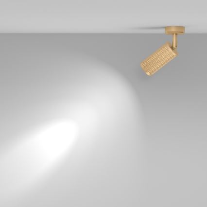 Maytoni C034CL-01G - virziena gaismeklis FOCUS 1xGU10/10W/230V, zelta