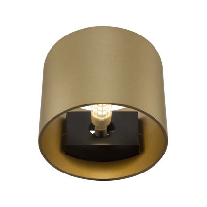 Maytoni C066WL-01MG - Sienas lampa ROND 1xG9/50W/230V zelta