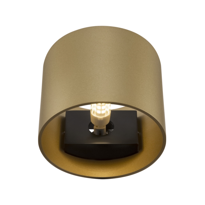 Maytoni C066WL-01MG - Sienas lampa ROND 1xG9/50W/230V zelta