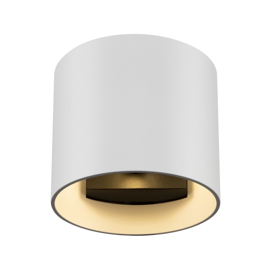 Maytoni C066WL-01W - Sienas lampa ROND 1xG9/50W/230V balta