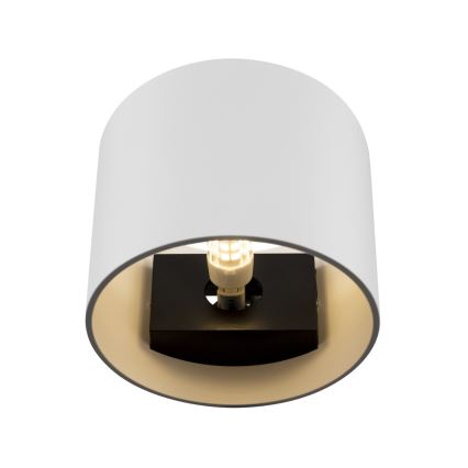 Maytoni C066WL-01W - Sienas lampa ROND 1xG9/50W/230V balta