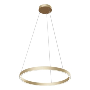 Maytoni MOD058PL-L32BS4K - LED Lustra ar auklu RIM LED/37W/230V 4000K d. 60 cm zelta