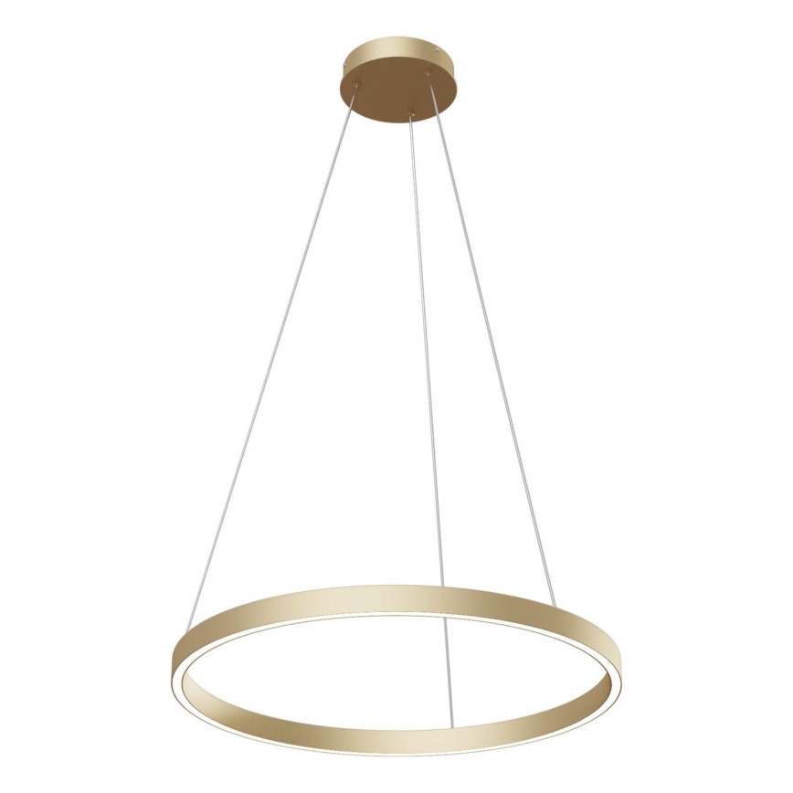 Maytoni MOD058PL-L32BS4K - LED Lustra ar auklu RIM LED/37W/230V 4000K d. 60 cm zelta