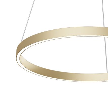 Maytoni MOD058PL-L32BS4K - LED Lustra ar auklu RIM LED/37W/230V 4000K d. 60 cm zelta