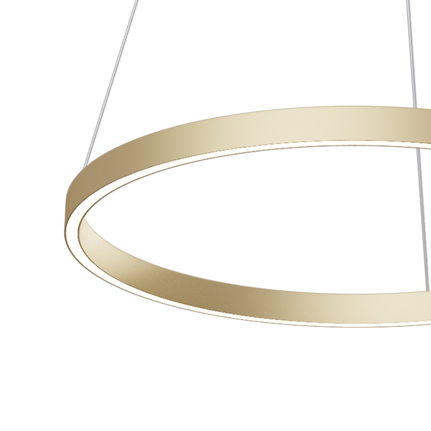 Maytoni MOD058PL-L32BS4K - LED Lustra ar auklu RIM LED/37W/230V 4000K d. 60 cm zelta