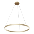 Maytoni MOD058PL-L42BS4K - LED Lustra ar auklu RIM LED/51W/230V 4000K d. 80 cm zelta