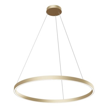 Maytoni MOD058PL-L42BS4K - LED Lustra ar auklu RIM LED/51W/230V 4000K d. 80 cm zelta