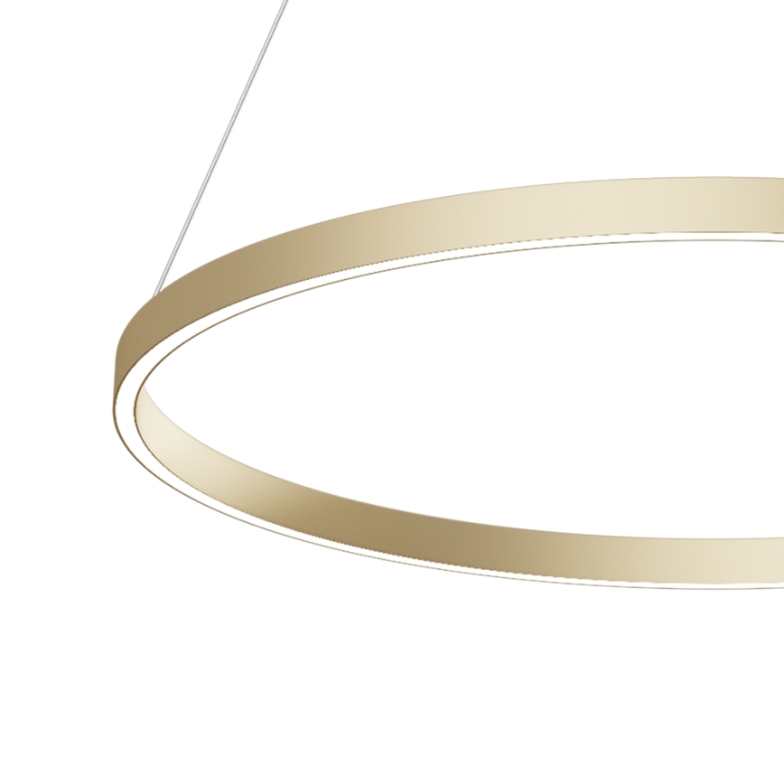Maytoni MOD058PL-L42BS4K - LED Lustra ar auklu RIM LED/51W/230V 4000K d. 80 cm zelta