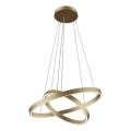 Maytoni MOD058PL-L55BS3K - LED Lustra ar auklu RIM LED/61W/230V 3000K d. 60 cm zelta