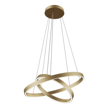 Maytoni MOD058PL-L55BS3K - LED Lustra ar auklu RIM LED/61W/230V 3000K d. 60 cm zelta