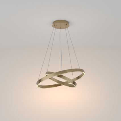 Maytoni MOD058PL-L55BS3K - LED Lustra ar auklu RIM LED/61W/230V 3000K d. 60 cm zelta