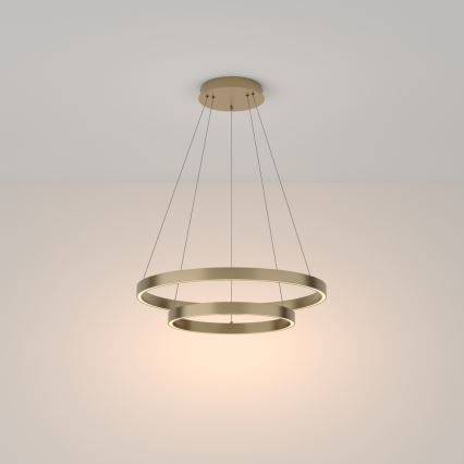 Maytoni MOD058PL-L55BS3K - LED Lustra ar auklu RIM LED/61W/230V 3000K d. 60 cm zelta