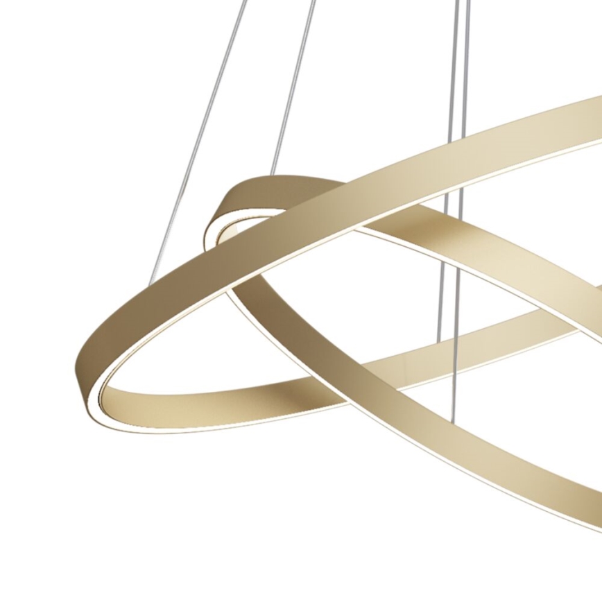 Maytoni MOD058PL-L55BS3K - LED Lustra ar auklu RIM LED/61W/230V 3000K d. 60 cm zelta